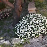 Oasi Ottocento 3*