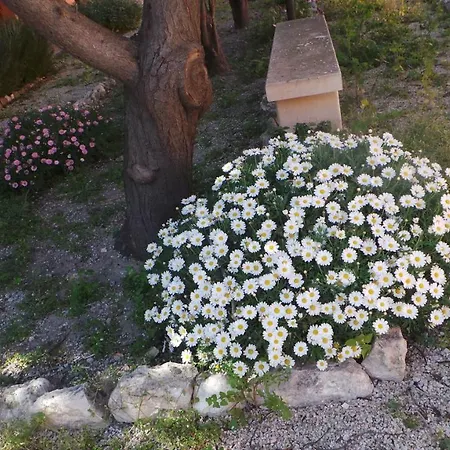 Oasi Ottocento 3*