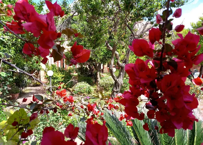 Oasi Ottocento Couette-café